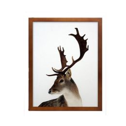 Large Wood Wall Photo Display 35.5X45.5CM #2