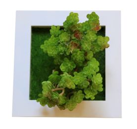Artificial Flowers Decorative Bouquets Imitation Flowers Succulent Plants