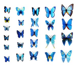 12PSC Vivid Butterfly Wall Stickers Art Decal Blue, Magnet + Blu Tack