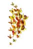 12PSC Vivid Butterfly Wall Stickers Art Decal Yellow, Magnet + Blu Tack