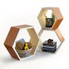Trista - [Rural Life] Hexagon Leather Wall Shelf / Bookshelf / Floating Shelf (Set of 3)