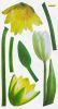 Lovely Flowers - Wall Decals Stickers Appliques Home Decor